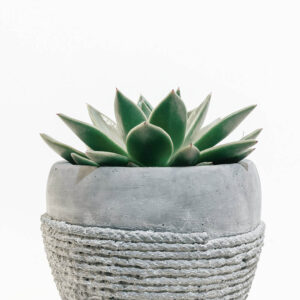 Product - 08
