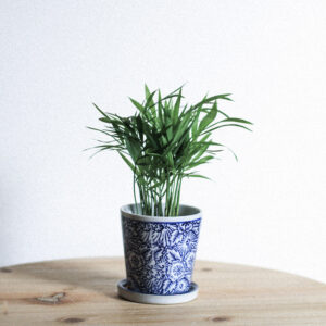 Product - 09