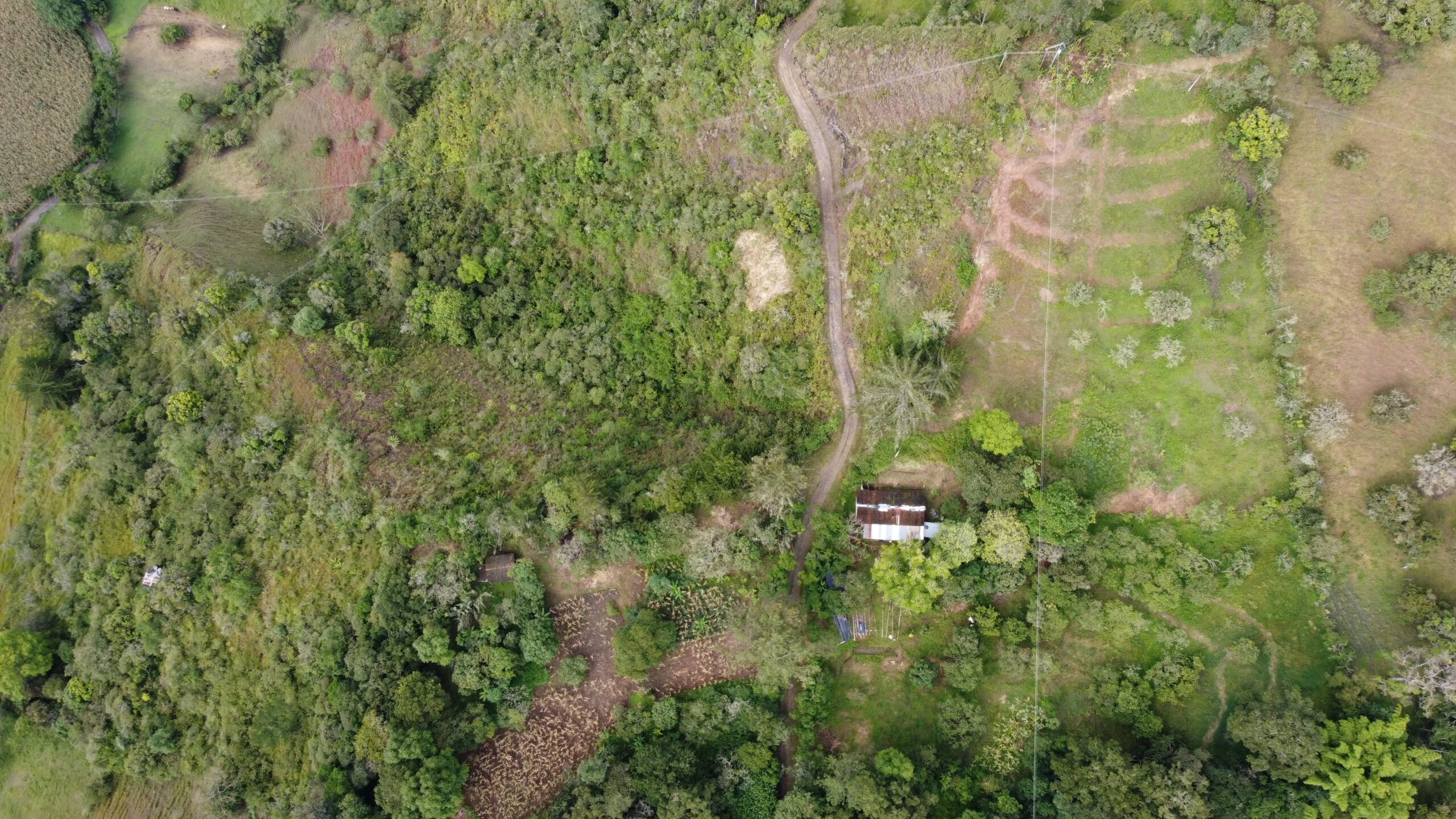 Finca1